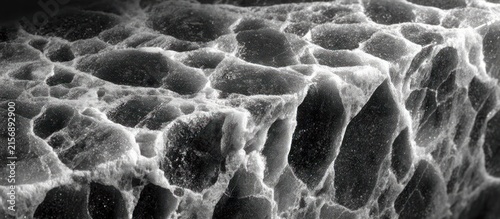 A grayscale close-up reveals a rough, porous, cellular texture with a play of light and shadow