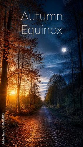 Autumn Equinox Concept Visualizing Day and Night Forest Balance