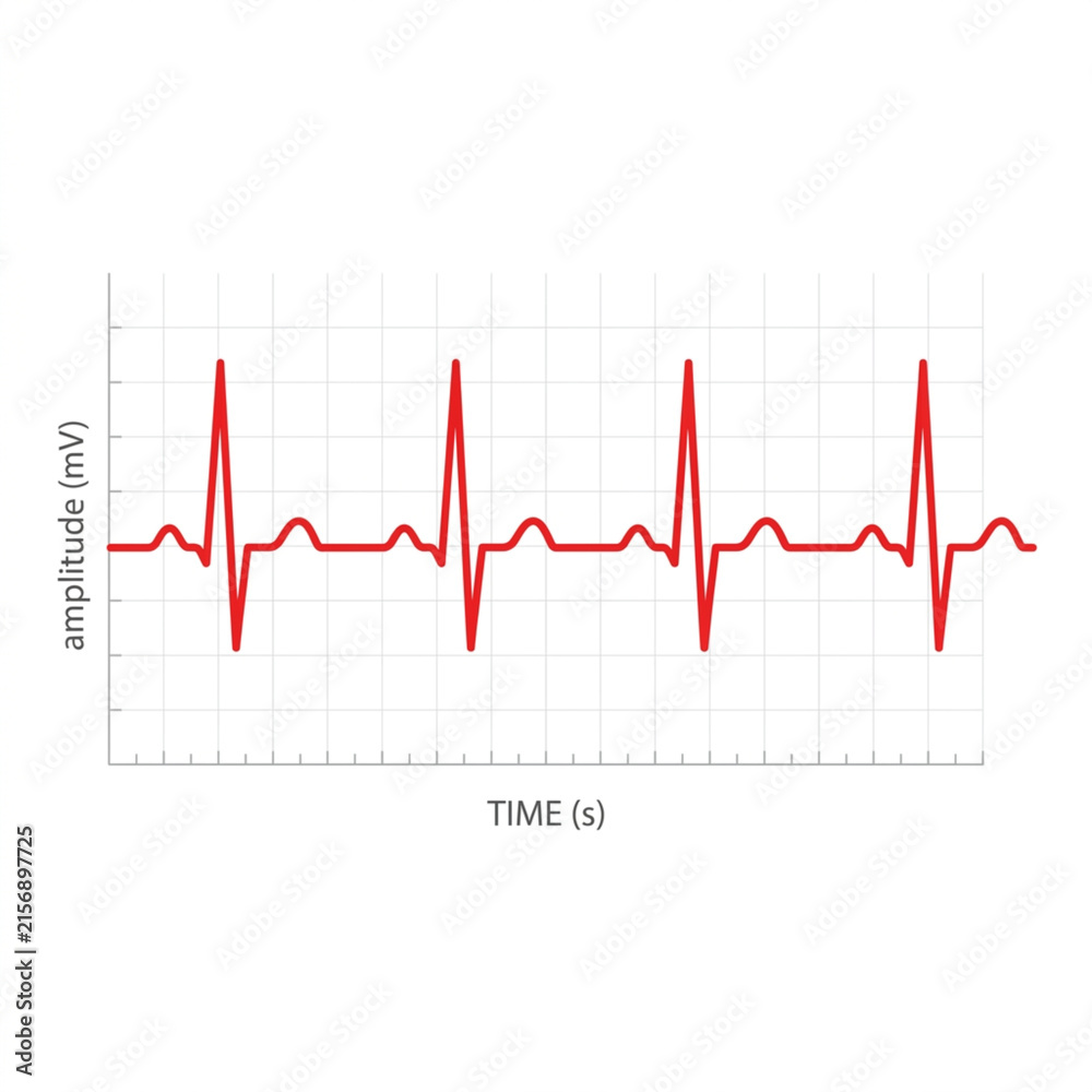 Fototapeta premium Red electrocardiogram heart rate rhythm graph on a white grid background