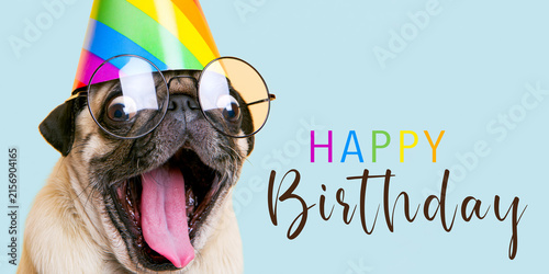 Funny Animal – Happy Birthday greeting card with text – pug dog with a party hat , isolated on a blue background