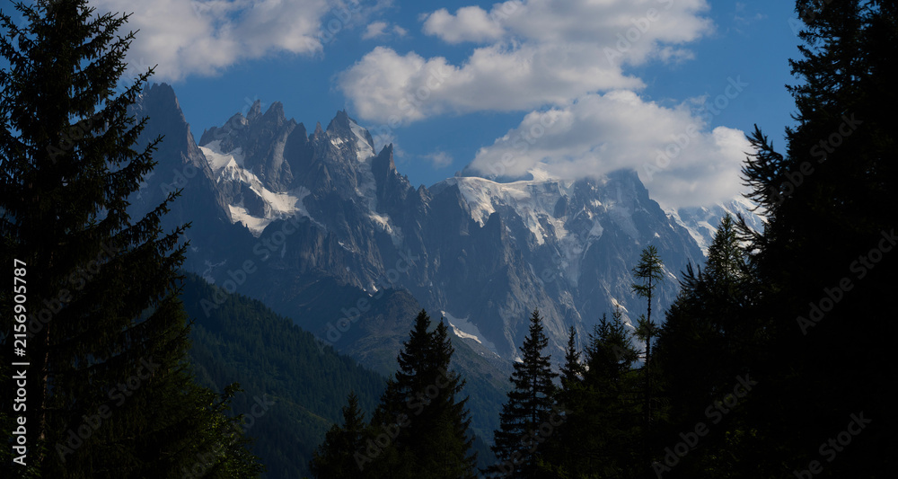 Naklejka premium Summer view of the Mont Blanc massif above forested slopes 