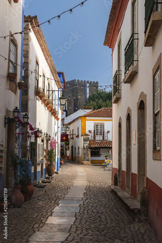 Narrow cobblestone street lined with traditional Portuguese houses