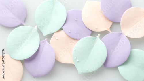 Pastel colored leaves with water droplets on white background close up art natural decoration