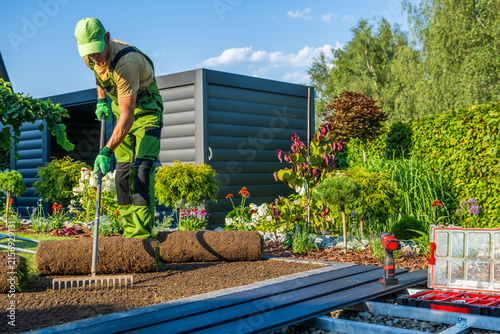 Gardener working on lawn installation in a backyard setting