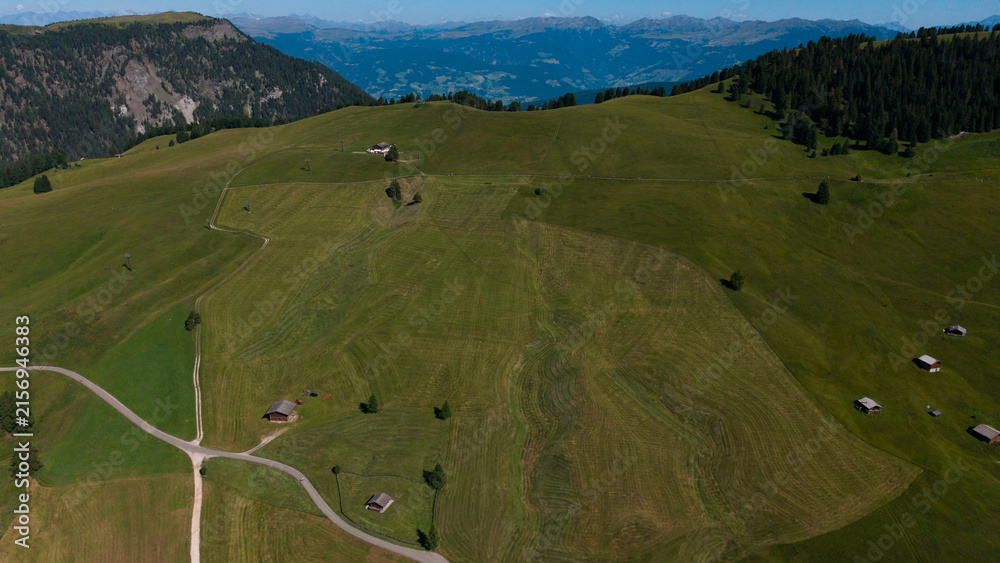 Obraz premium View of beautiful landscape in the Alps with fresh green meadows in the background on a sunny day with blue sky and clouds in summertime. Alpe de Siusi, Dolomite Alps
