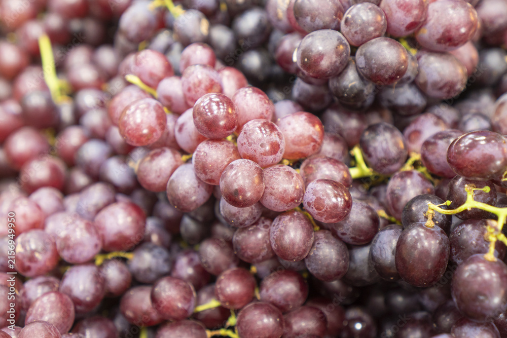 Naklejka premium Red grape cluster closeup showing ripe purple fruit with natural bloom, detailed texture, and fresh harvest appeal for food, market, and agriculture concepts