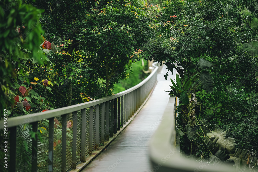 Obraz premium Walkway forest railing garden path green leaf tree tropical nature, curved walkway with metal railing through dense tropical garden foliage, peaceful outdoor path surrounded by lush plant life
