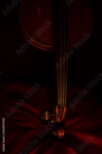 Foto Violon inversé clair obscure