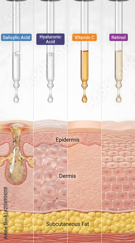 Cosmetic skincare serum droppers displayed above medical cross section views showing layers of human skin texture for dermatology educational purposes
