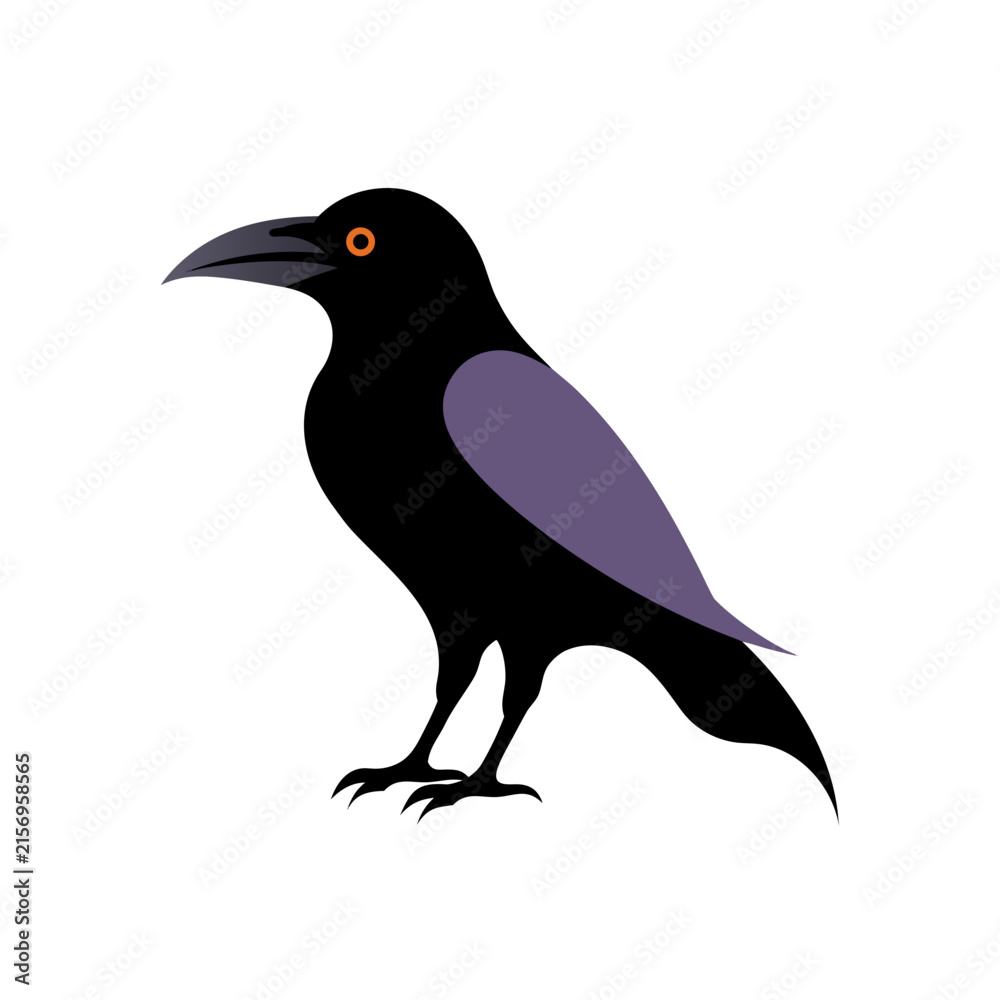 Fototapeta premium Black raven vector illustration, standing crow icon with purple wing, spooky halloween bird graphic isolated on white background