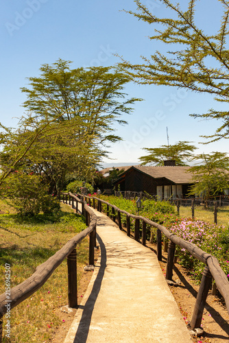 Safari lodges in Kenya. Africa's tourist landscapes