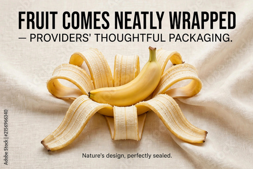 Divine Design Poster Illustrating God’s Miracle in Fruit Creation and Packaging