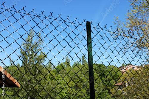 Obraz na plátne Clôture souple en grillage simple torsion vert sur piquets métalliques en T