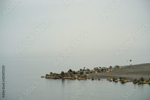 A serene and minimalist coastal scene showing concrete tetrapods lined up along a pebble shoreline to prevent erosion, set against calm grey water and a misty, overcast horizon.