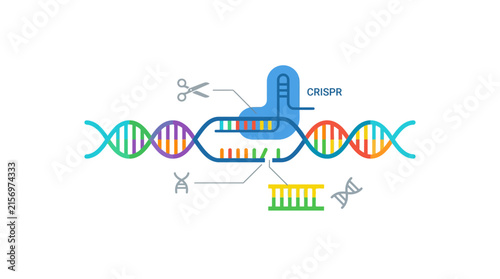 CRISPR Gene Editing Technology DNA Strand Scientific Illustration
