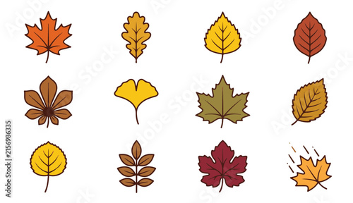 Autumn Leaves Vector Icon Set Featuring Colorful Maple Oak Birch and Fall Foliage Elements with Flat Design Style for Seasonal Nature and Botanical Projects