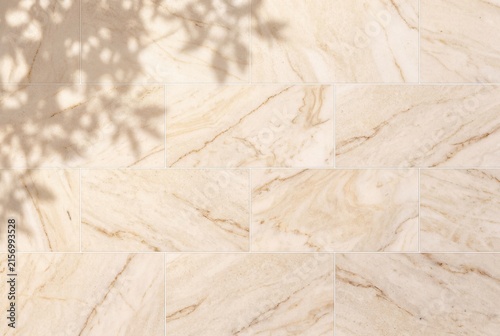 Beige Travertine Marble Tile Texture Background with Soft Leaf Shadow Overlay
