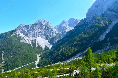 View of Špik mountain above Krnica valley with the landscape bellow with larch trees and mugo pine bushes in Julian alps, Gorenjska, Slovenia