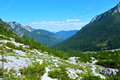 Rocky alpine landscape with bushes and low trees above the forest covered Krnica valley in Julian alps, Gorenjska, Slovenia