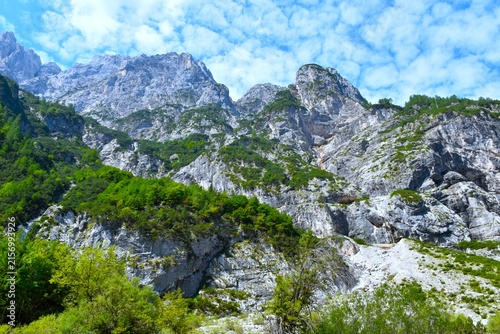 Steep mountain slopes with trees in green summer foliage above Krnica in Julian alps, Gorenjska, Slovenia