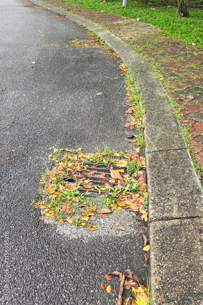 Obraz premium Clogged drain cover on street with leaf and earth risk flooding when rain