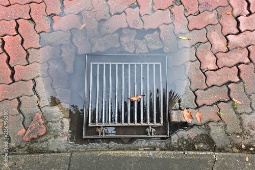 Konstfotografi Overhead view on puddle of water on clogged drain outlet with leaf on street ris