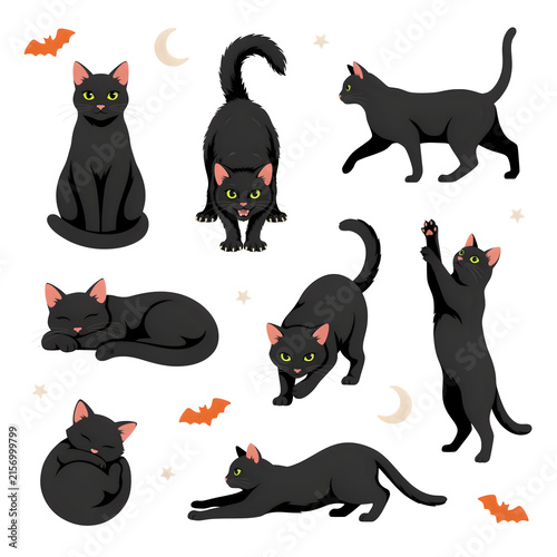 Collection of black cats in various playful poses during nighttime with moons and bats Isolated on transparent background