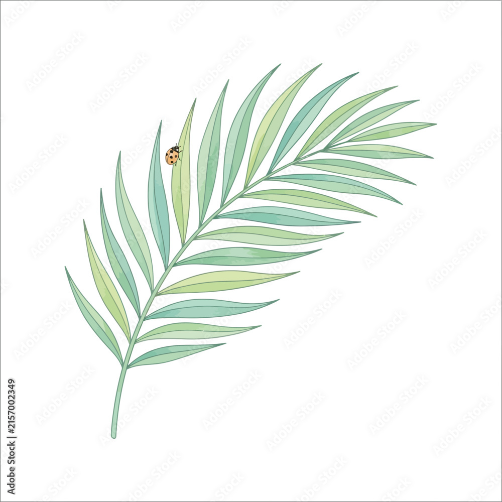 Fototapeta premium Watercolor Palm Leaf with Ladybug Illustration.