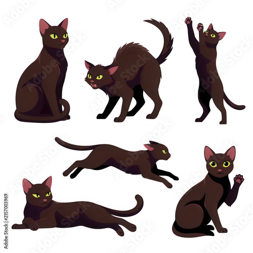 Collection of brown cats in various poses during daytime isolated on transparent background