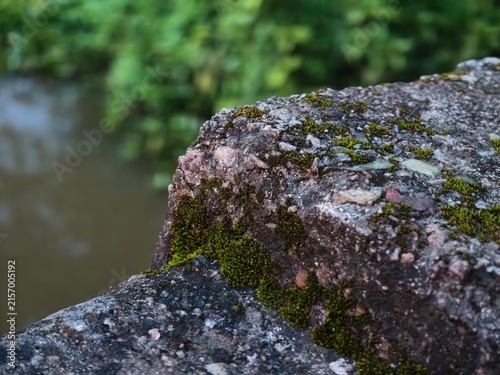 Close-up of a weathered concrete surface covered in vibrant green moss and small pebbles with a blurred natural background