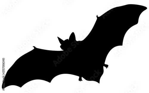 Canvas Print Bats silhouette set, black bat vector graphic, flying bat cutting file for Hallo