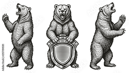Set of vintage engraving grizzly bears standing and holding heraldic blank shield