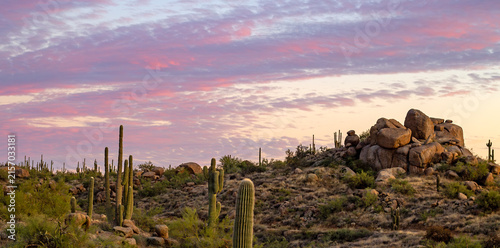 Wide Ratio Desert Sunset Landscape With Pink Clouds & Boulders In Scottsdale AZ 