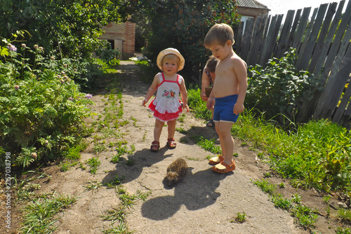 Little children contemplate a hedgehog in their yard.
