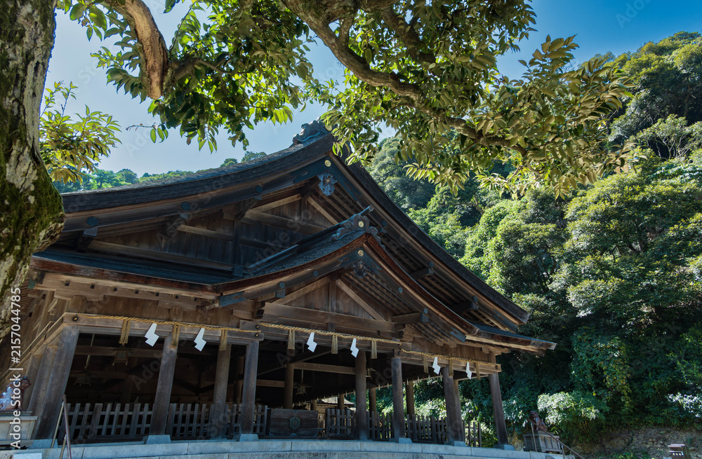 Fototapeta premium 夏の美保神社