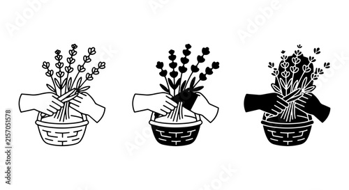 Gardening Hands Harvesting Lavender, Botanical Illustration, Floral Arrangement Vector Set