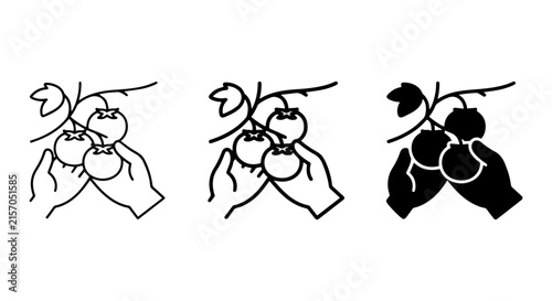 Hand Picking Blueberries, Fruit Harvest Icons, Healthy Food Gathering Vector Set