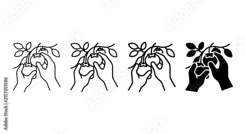 Hand Picking Fruit Icons, Organic Harvest Vector Set, Nature Gathering Graphics, Sustainable Food Collection