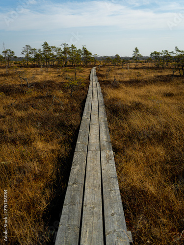 wooden bridge in the field, Vasenieki swamp footbridge. Latvia
