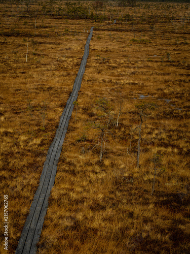 Vasenieki swamp footbridge. Latvia