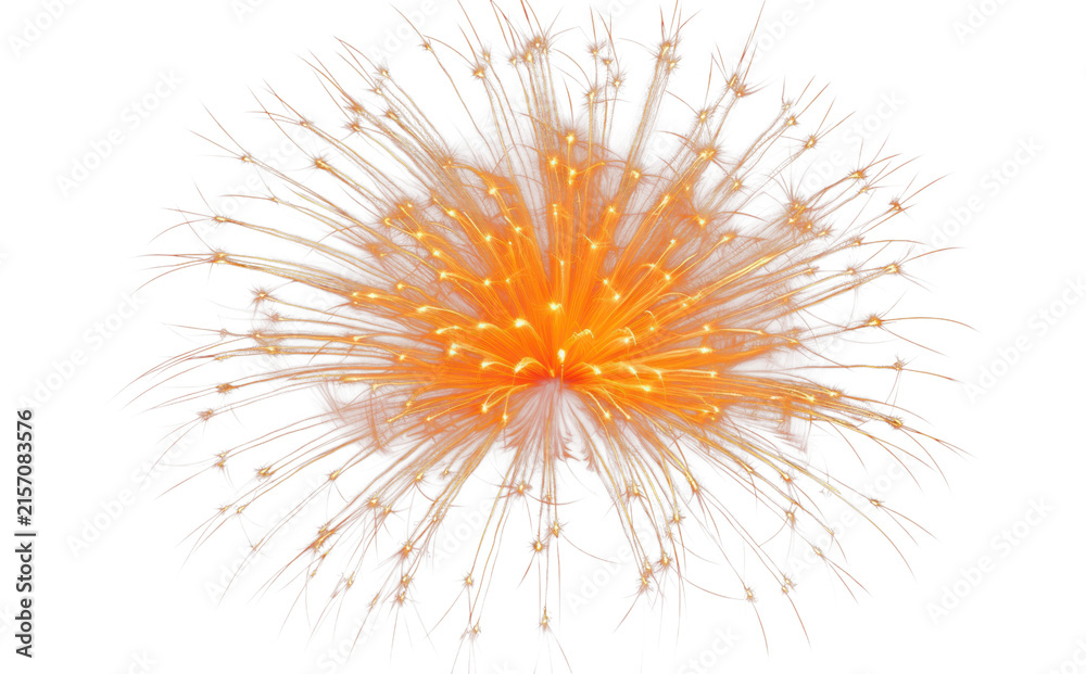 Fototapeta premium PNG Firework fireworks outdoors night.