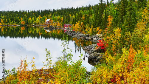 view on lake in nordic autumnally colored landscape 387