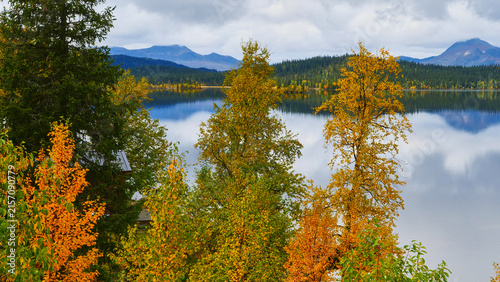 view on lake in nordic autumnally colored landscape 394