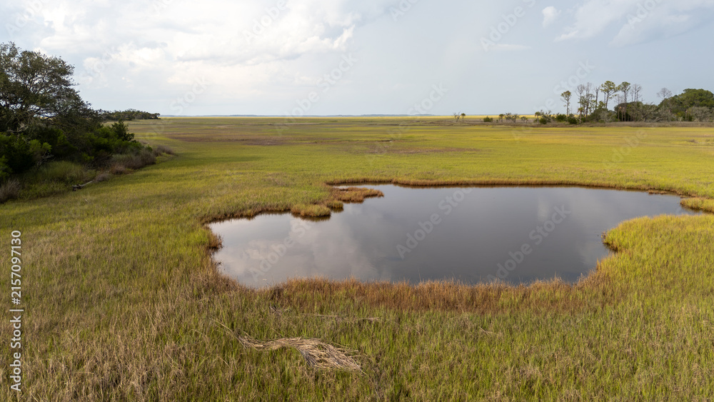 Fototapeta premium Drone view of lowcountry marsh with water in South Carolina