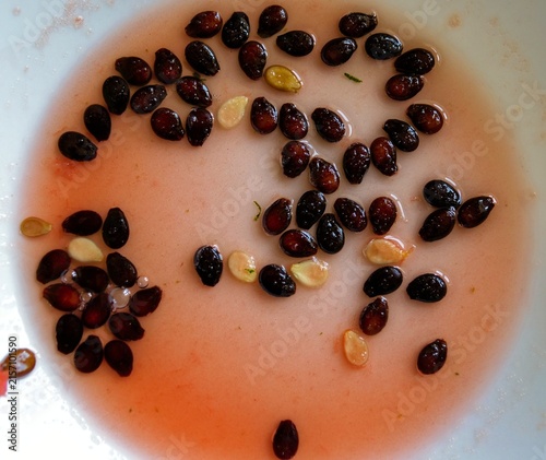 Scattered Leftover Watermelon Seeds Floating in Sweet Pink Juice on a White Plate