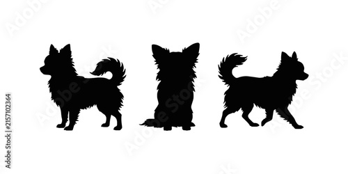 Three distinct black silhouettes of long-haired chihuahua dogs in different stances, including standing and sitting, isolated on a white background, for pet
