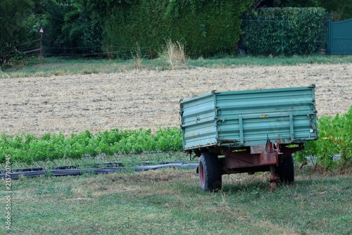 Bild auf Leinwand Ancienne remorque agricole verte stationnée au bord d’un vignoble