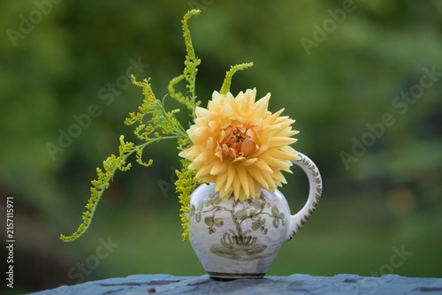 Photograph of a dahlia flower in vase, Dahlia Pinnata variety Orange Glow	