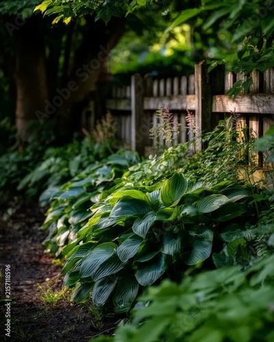 house in the garden
