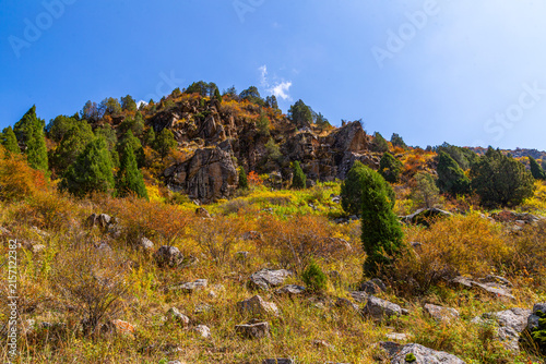 Foto Mountain hillside with autumn foliage and evergreen trees